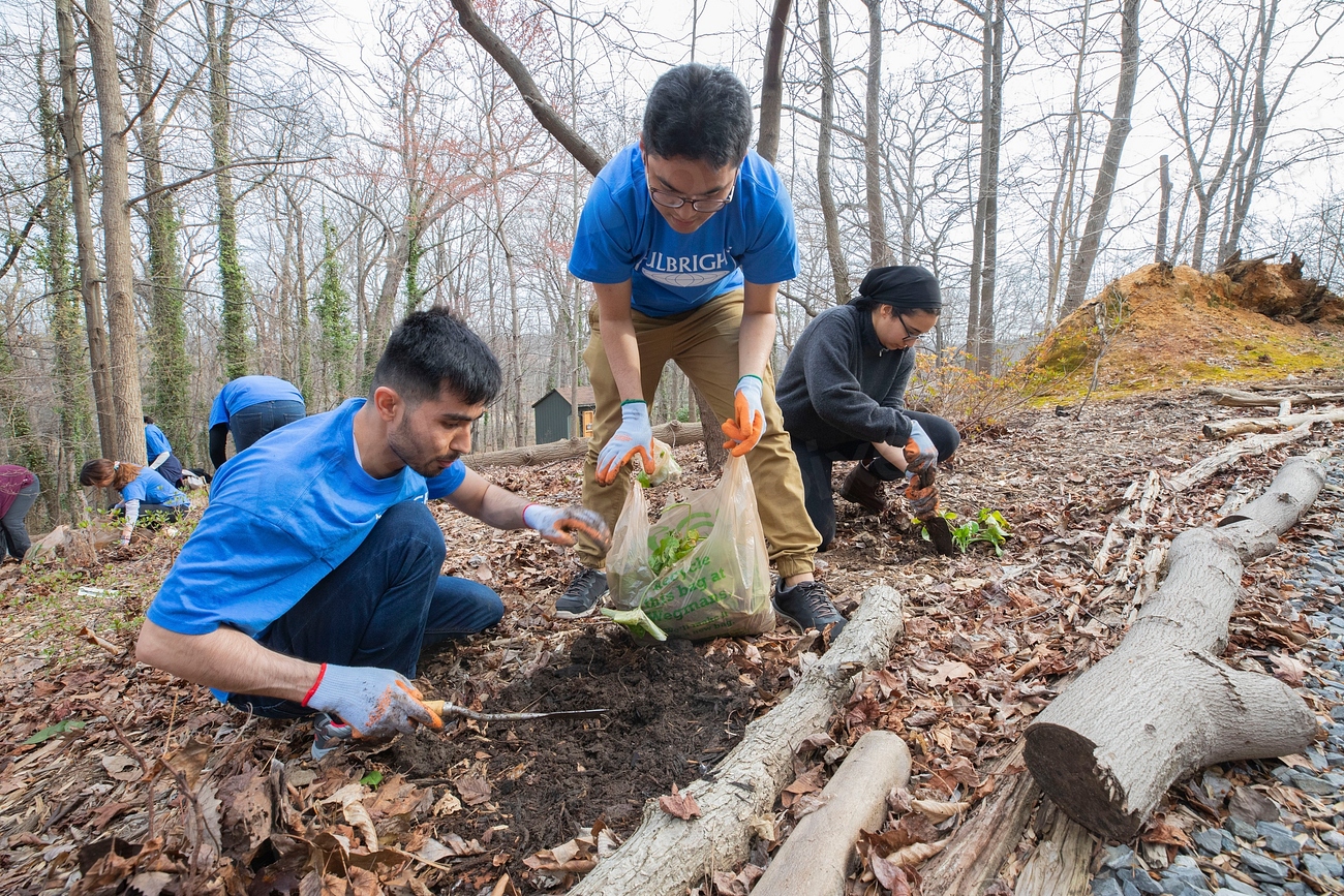 A group of volunteers wearing blue shirts engaged in planting activities in a wooded area. Two individuals are focused on digging and planting while another volunteer is seen in the background, working on the ground. The scene includes fallen leaves and tree branches.